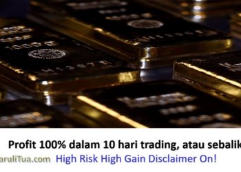 Profit 100% dalam 10 Hari trading, atau sebaliknya! High Risk High Gain disclaimer on