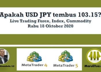 Apakah USD JPY tembus 103.15?