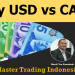 Buy USD vs CAD?