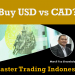 Buy USD vs CAD?