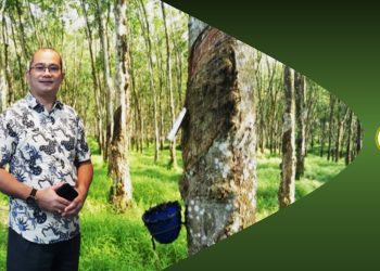 Karet Komoditas Penting Dalam Perdagangan Dunia