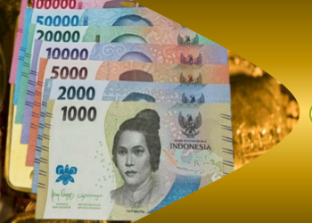 Strategi Trading Dengan Fundamental